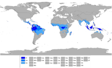 tropical climates rubber tree plantation